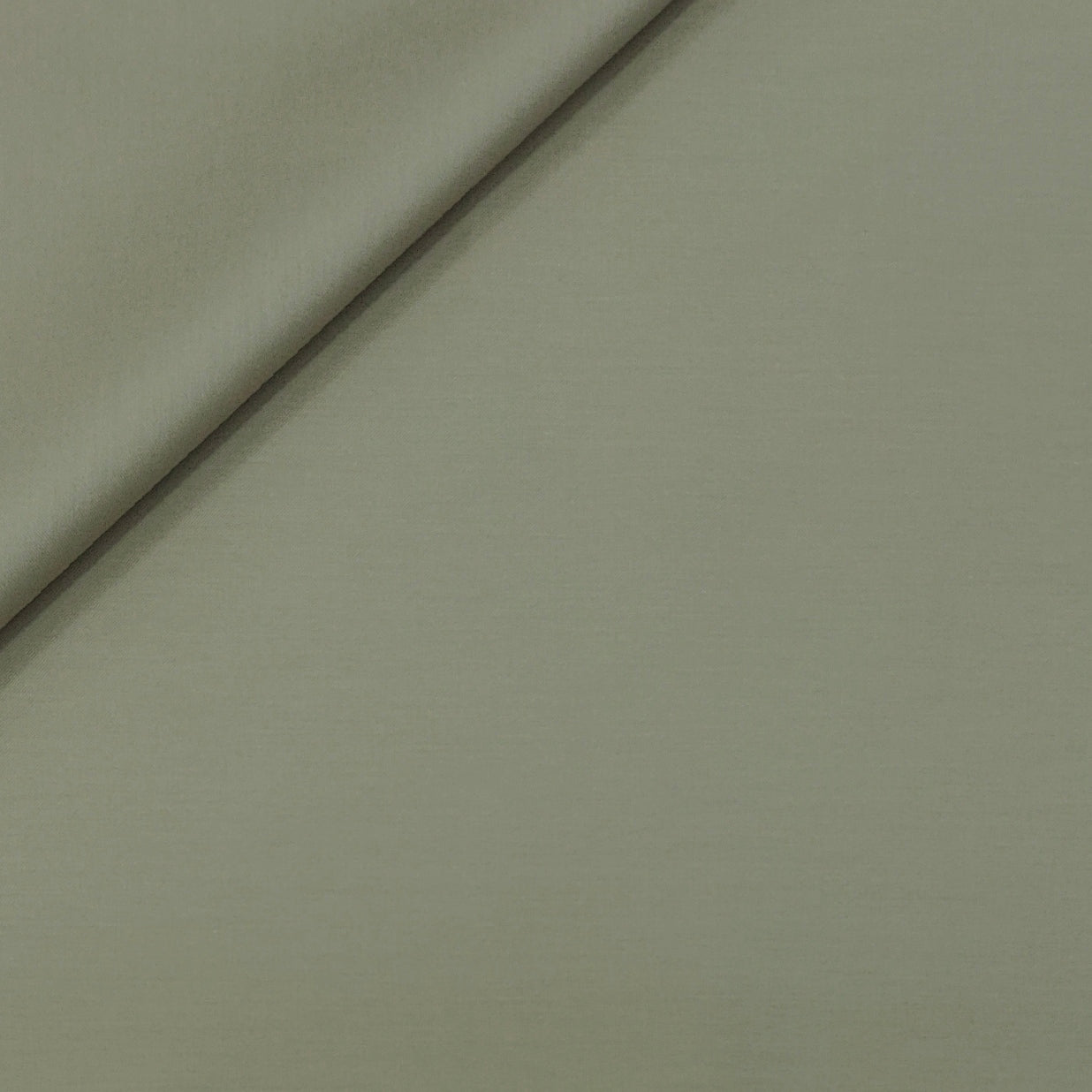 Canetti Italy Luxury Supima Cotton Plain Suiting Fabric Colour Soft Beige